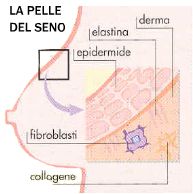 crosystem roma
