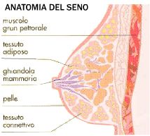 crosystem roma