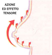 crosystem roma